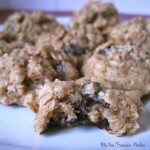 oatmealbiteplate