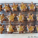 turtle cookies
