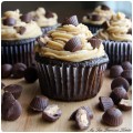 peanut butter cup cupcakes