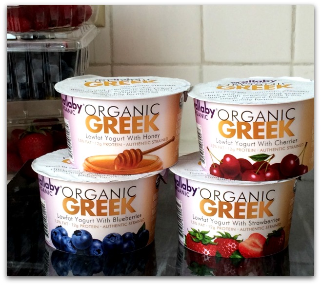 wallaby organic greek yogurt