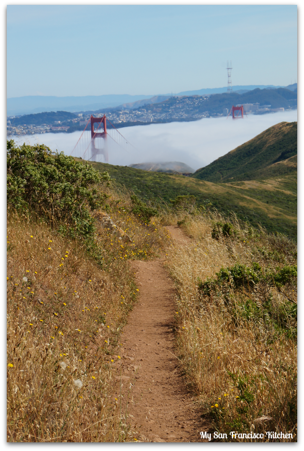 golden gate bridge