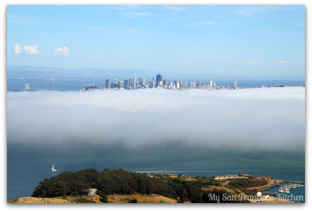 san francisco skyline