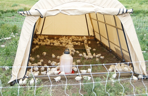 tara firma hoop house