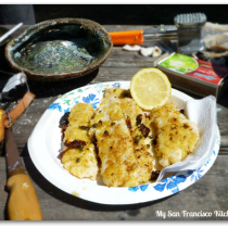 breaded abalone