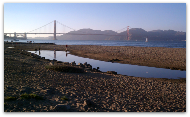 crissy field