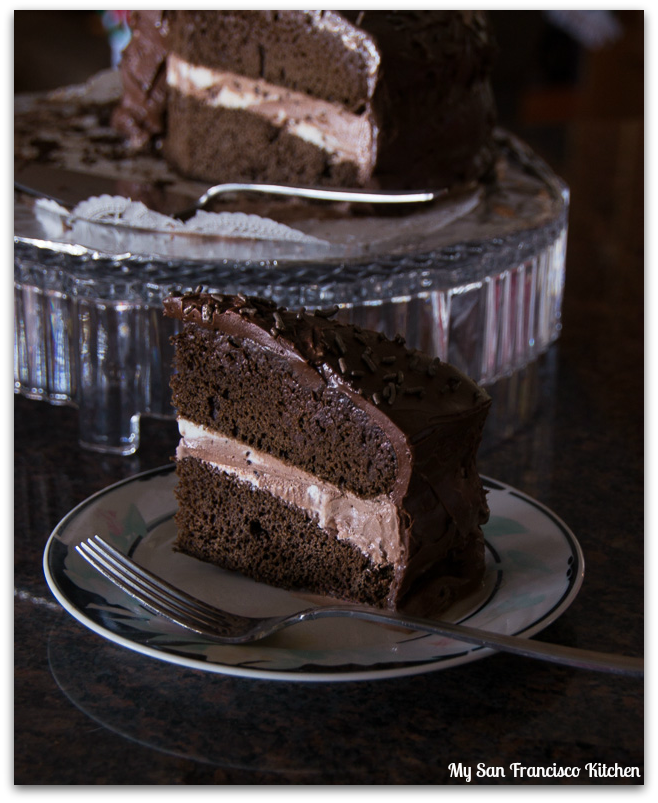 Easy Chocolate Ice Cream Cake Recipe