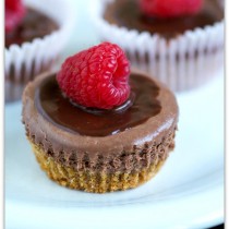 mini chocolate cheesecake