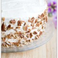 hummingbird cake