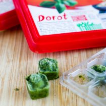 Dorot Basil