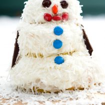 https://www.mysanfranciscokitchen.com/wp-content/uploads/2016/12/snowman-cake-outside-210x210.jpg